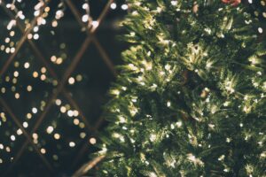 fairy lights on Christmas tree